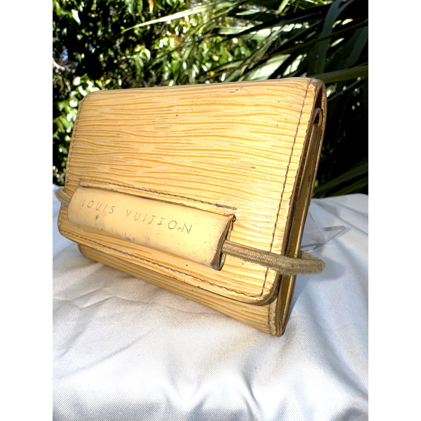 Louis Vuitton Luxury Accessory β Timeless & Authentic