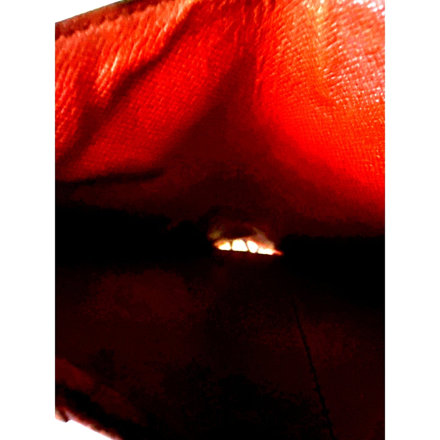 Louis Vuitton Womens Vienois Canvas Kisslock Portefeuille Monogram Bifold Wallet