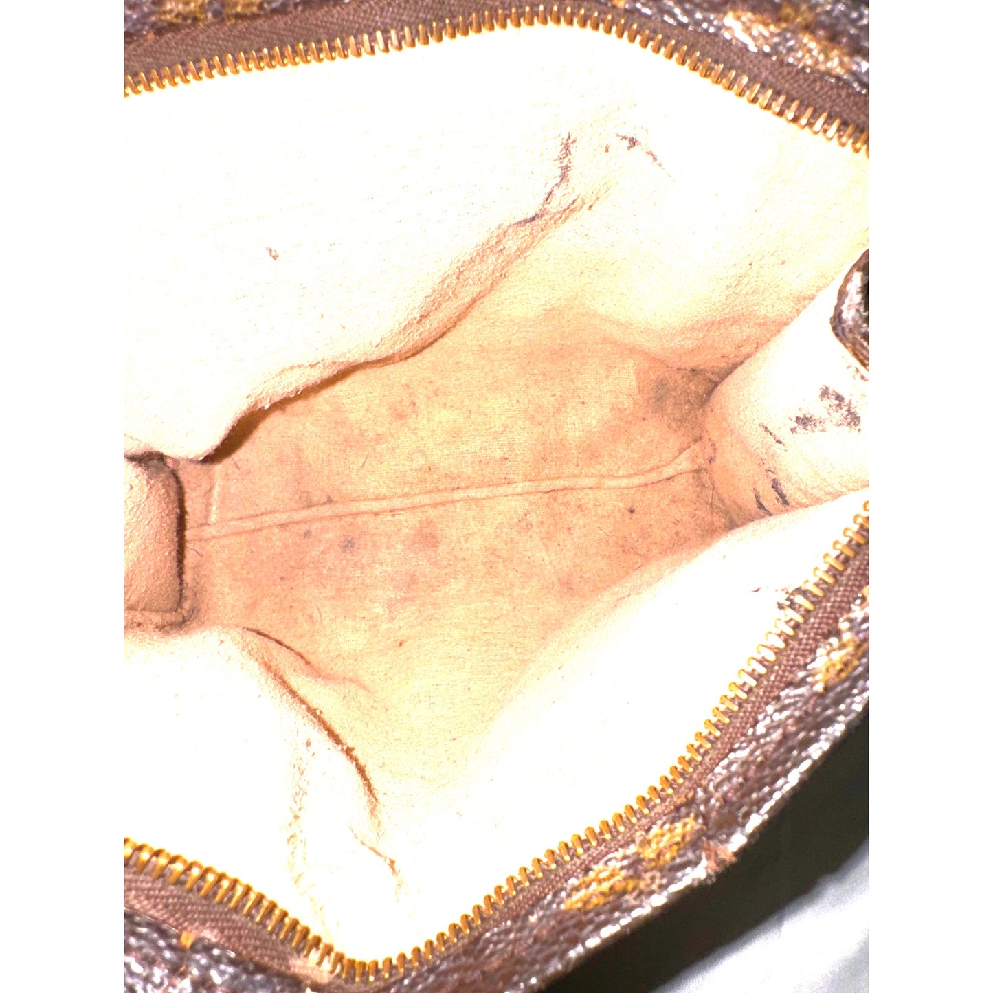 Louis Vuitton Monogram Pouch D-Ring and Twilly Accent