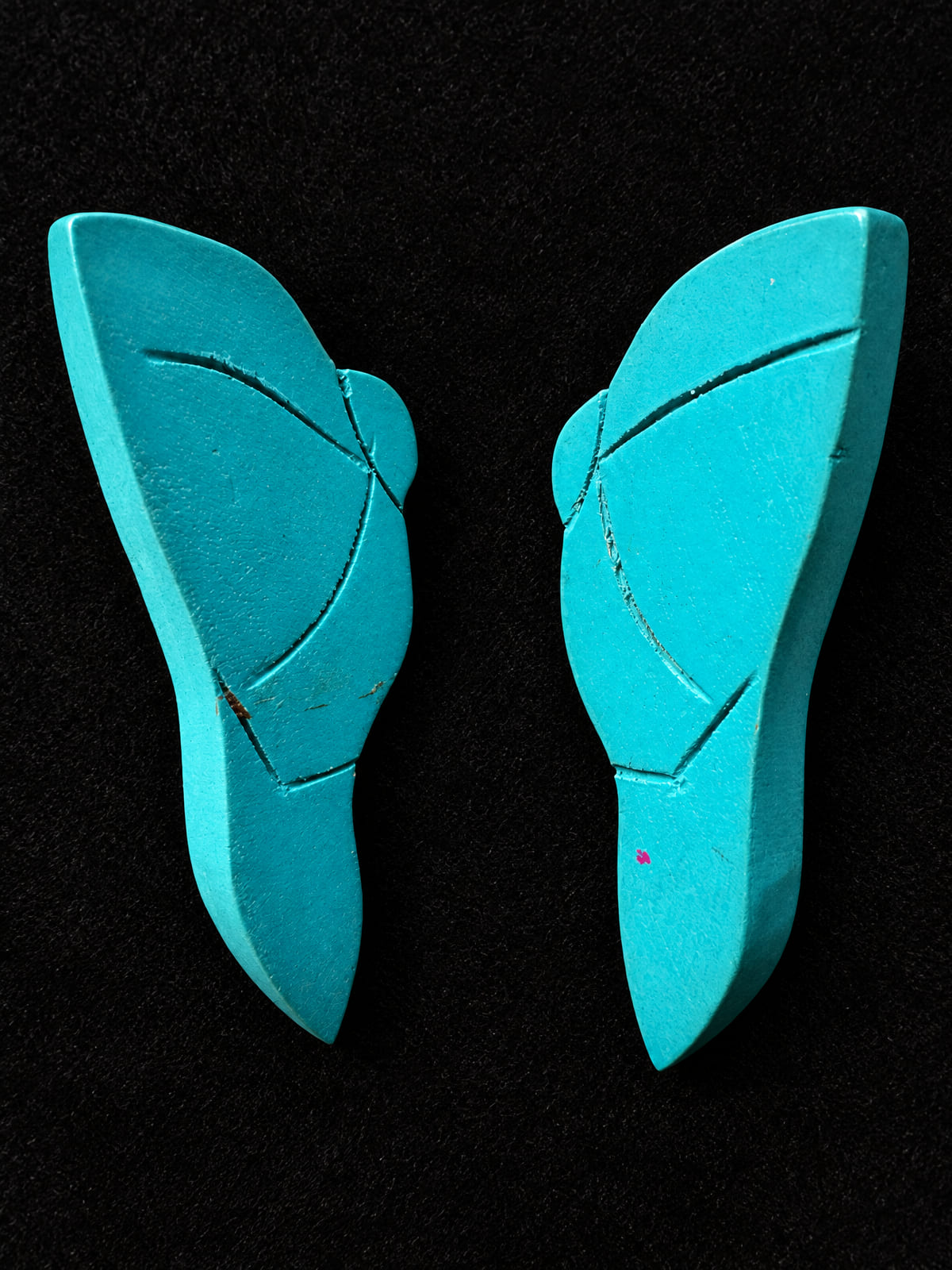 Carved Wing Earrings · Southwestern-Style · Turquoise-Color Resin